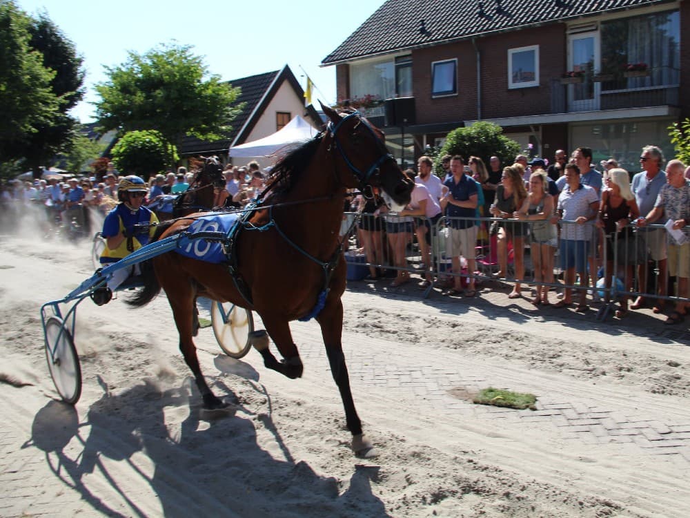 Dorpsfeest Santpoort