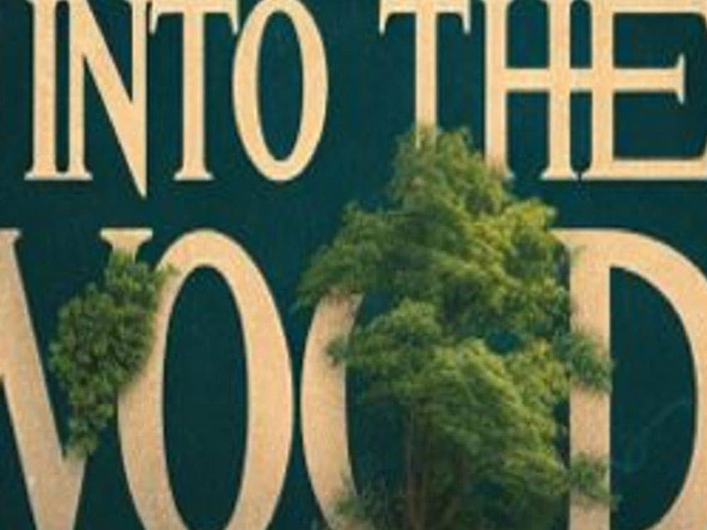 AHA productions – Into The Woods