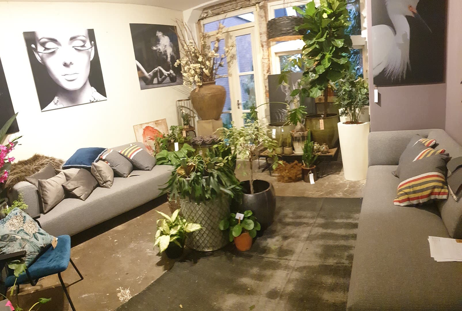 BYDENNIS, foto 4