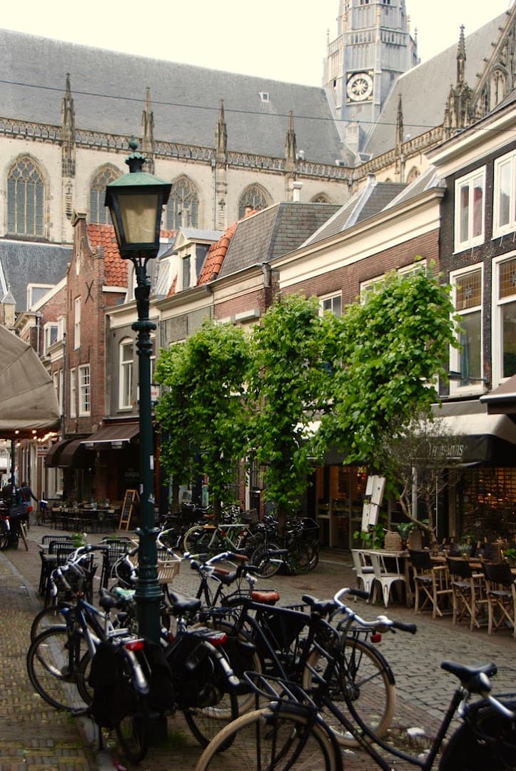 De Huismuis B.V., foto 5
