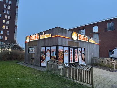 Dilek Chicken Haarlem