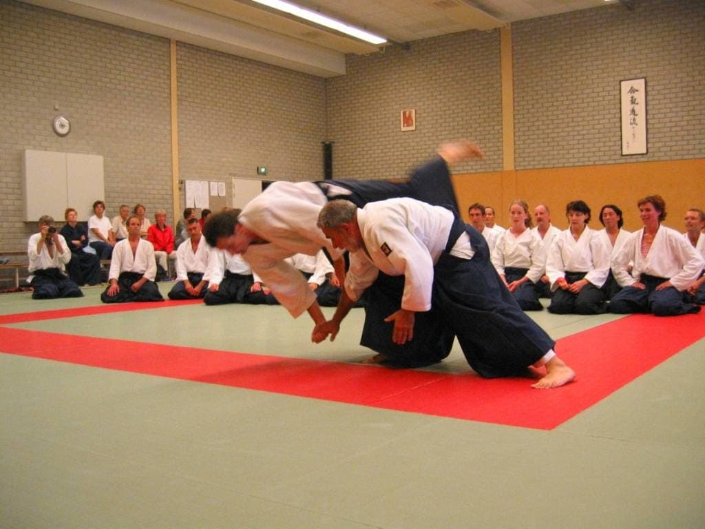 Aikido Ryu Jan Rusman
