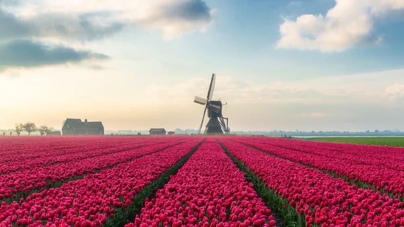 Ewout Pahud Photography | Photo Workshops