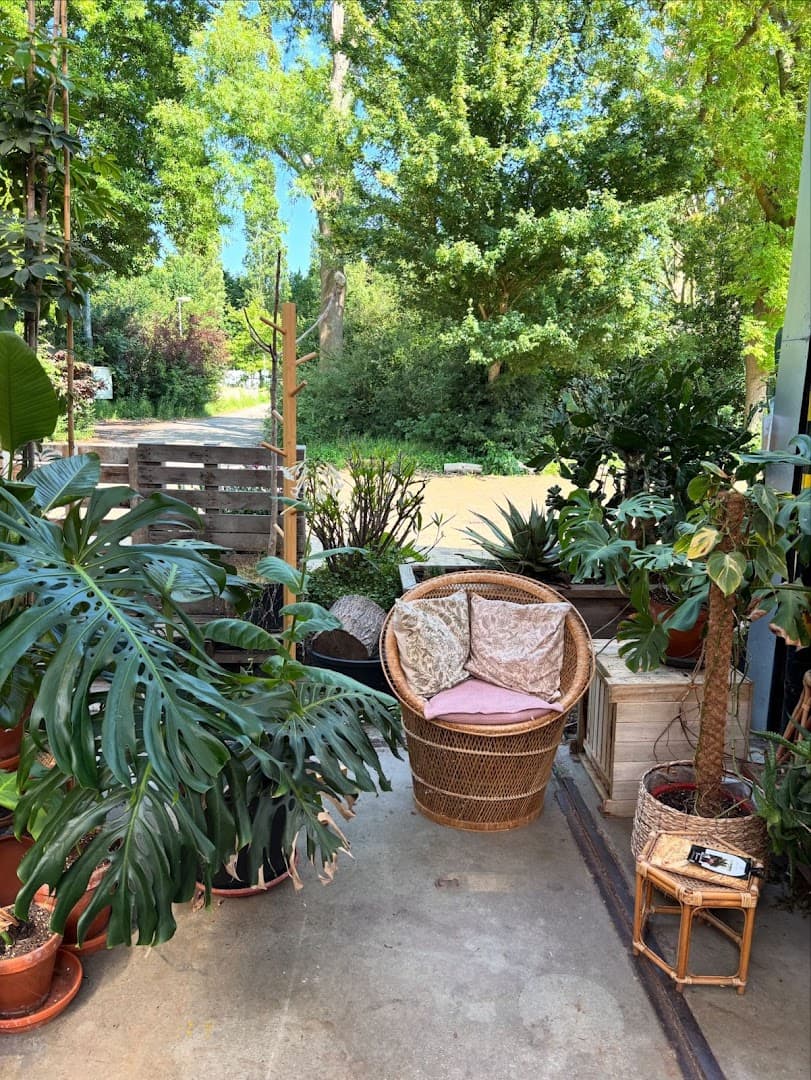 Head & Soul Holistic Hairsalon & Headspa - Haarlem