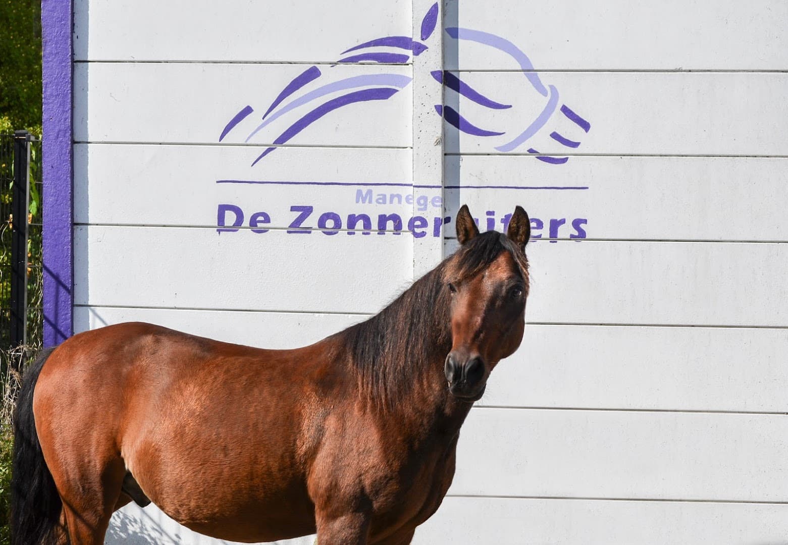 De Zonneruiters/ Stichting Bosch en Vaart