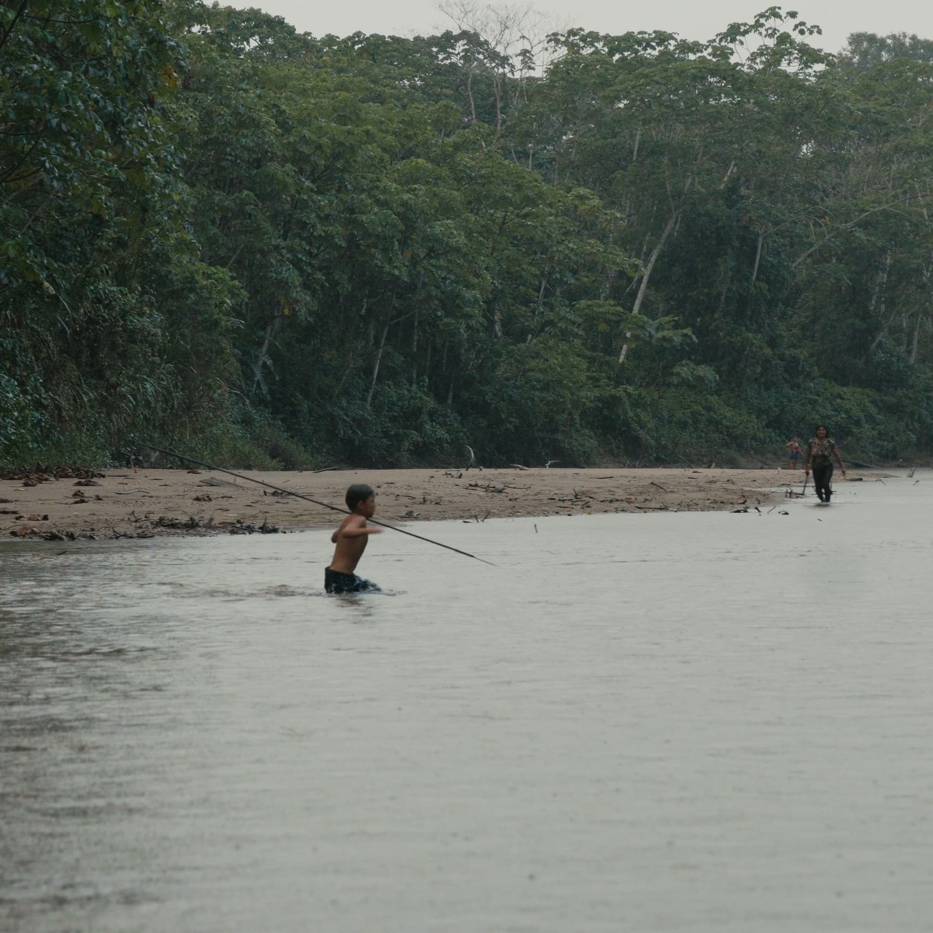 filmavond: toroboro: the name of the plants
