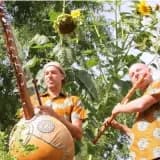 Meditatief concert in de stiltetuin, door Kees van Boxtel en Albert Dist