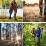 BosBeleving Middenduin| Een reis naar jouw innerlijke natuur
