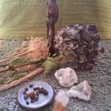 Adem en Microdosering Truffels in Haarlem en omgeving