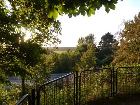 Avondwandeling in wandelbos Groenendaal