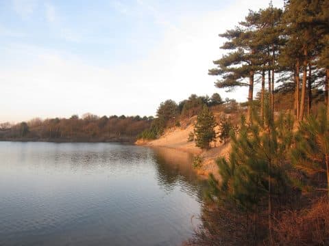 Rondje Oosterplas in juni