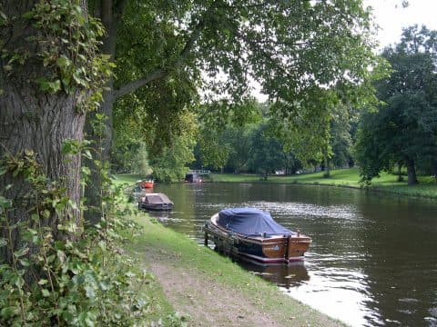 Natuur in de stad Haarlem
