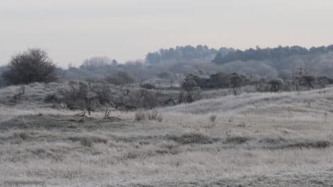 Winterwandeling door de waterleidingduinen in IVN Zuid-Kennemerland, Haarlem / Overveen / Bloemendaal
