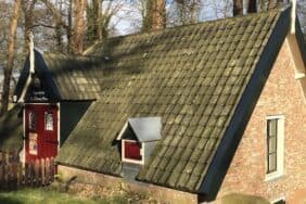 Jubileumfeest Theater Elswout