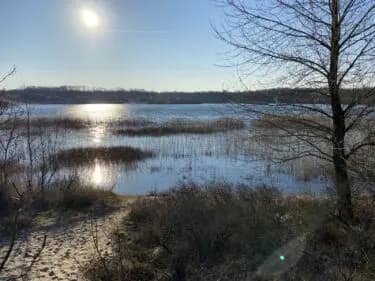 Stiltewandeling in de Kennemerduinen