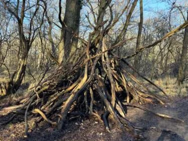 Survivalexcursie: overleven in de natuur