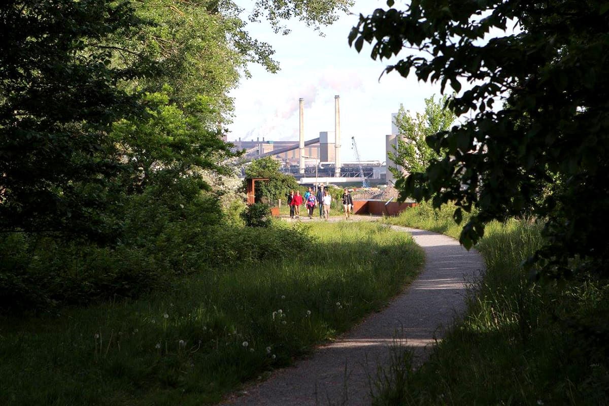 Vissenloop IJmuiden