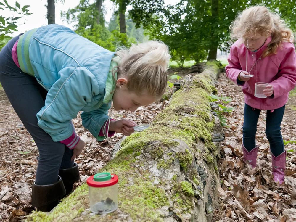 Duindetective: speuren naar sporen (6+)