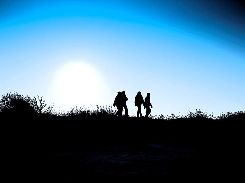 Donker in de duinen (10+)