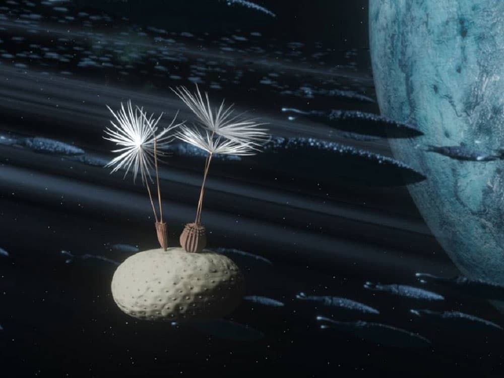 Dandelion’s Odyssey