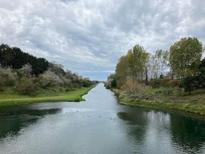 Amsterdamse Waterleidingduinen Bentveld