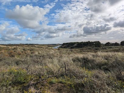 Amsterdamse Waterleidingduinen, ingang Brederodestraat