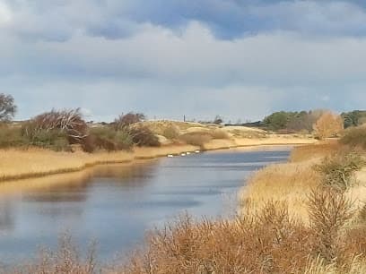 Amsterdamse Waterleidingduinen, ingang Panneland