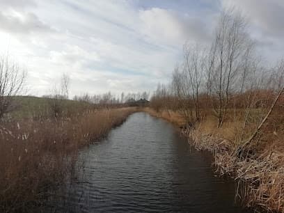 De Boseilanden (Spaarnwoude Park)
