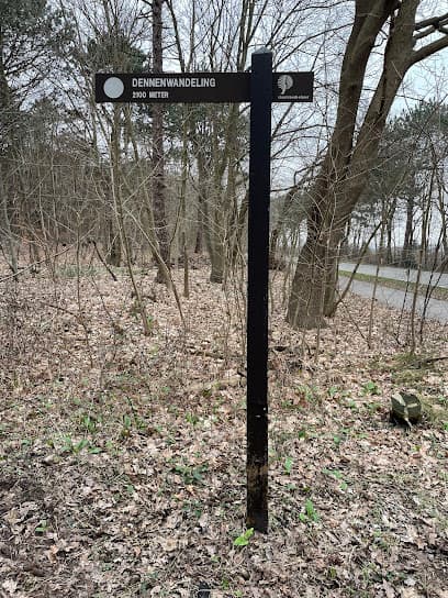 Dennenroute - Staatsbosbeheer