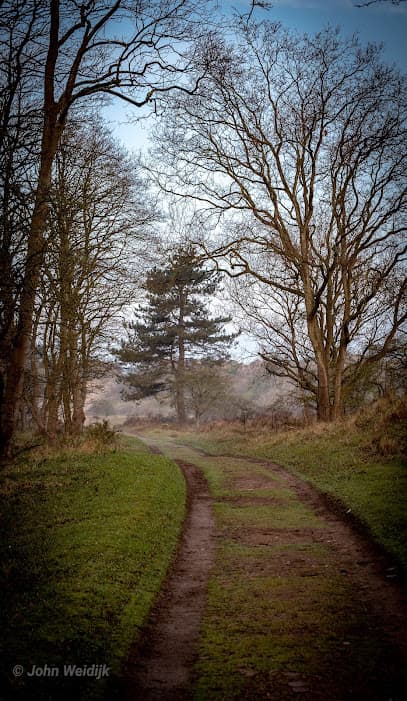 duingebied Midden Herenduin