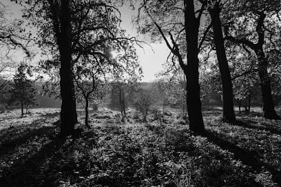 Heerenduinen, Nationaal Park Zuid Kennemerland