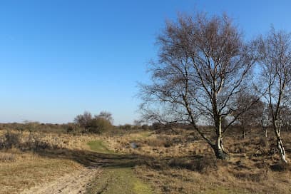 Het Palmveld Bentveld