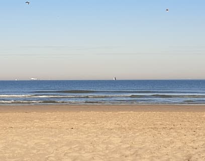 Hot Zone Beach and Events