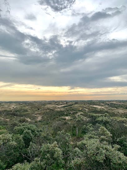 Ingang Hollands duin Boswachterij Noordwijk