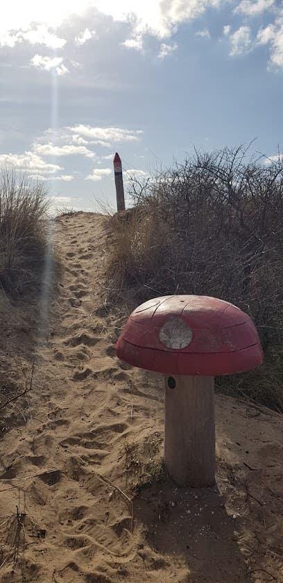 Kabouterpad Hollands Duin