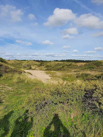 Kachelduin route - Staatsbosbeheer