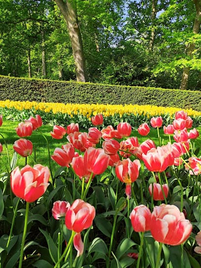 Keukenhofbos ingang Duinhof