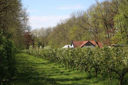 Landgoed de Olmenhorst