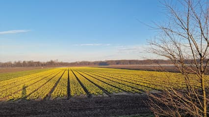 Landgoed Vogelenzang