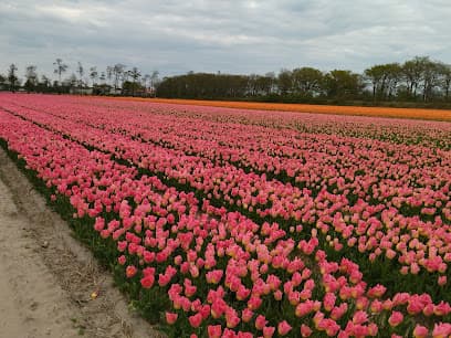 Landgoed Wassergeest