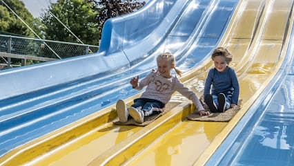 Linnaeusbos / Overplaats