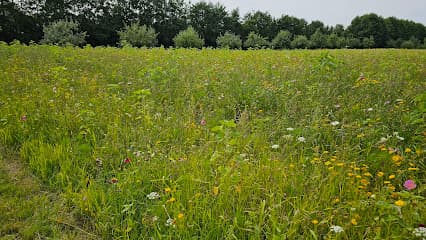 Plesmanhoek (Spaarnwoude Park)