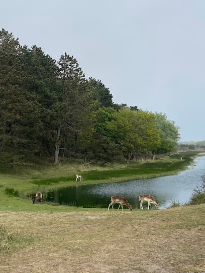 Rechte Schusterkanaal