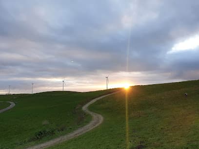 Schoteroog (Spaarnwoude Park)