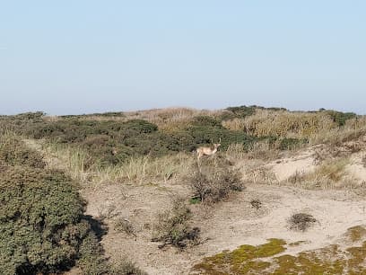 Uitkijkpunt Kachelduin
