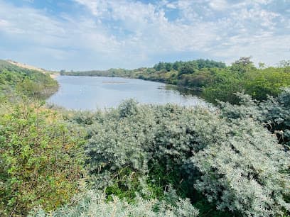 uitzichtpunt Cremermeer