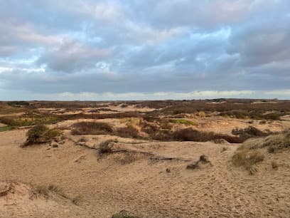 Uitzichtspunt Groot Hoogwaak