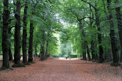 Wandelbos Groenendaal