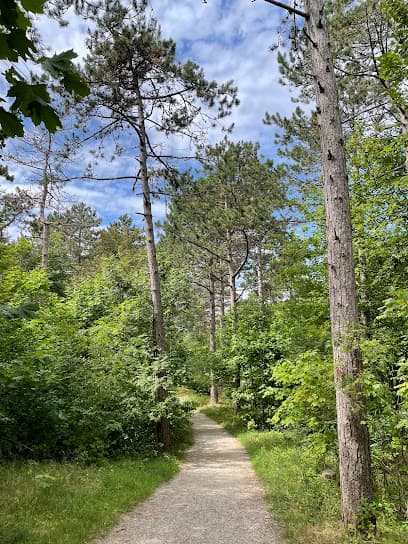 Wandelroute Piet Floris (Kunst in duinpad) - Staatsbosbeheer