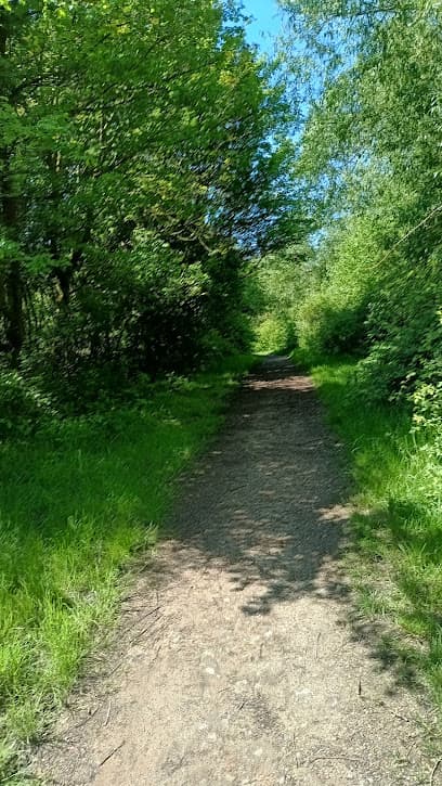 Wandelroutes Venneperhout